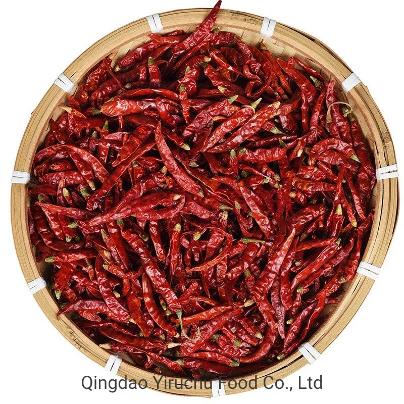 Hot Selling Dry Chilli/Chaotian Chilli in China