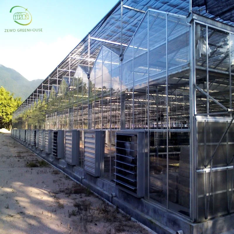 Landwirtschaftliche Stahl Struktur Glas Gewächshaus mit Heizung für Hydrokultur/Erdbeere/Gemüse/Blumen