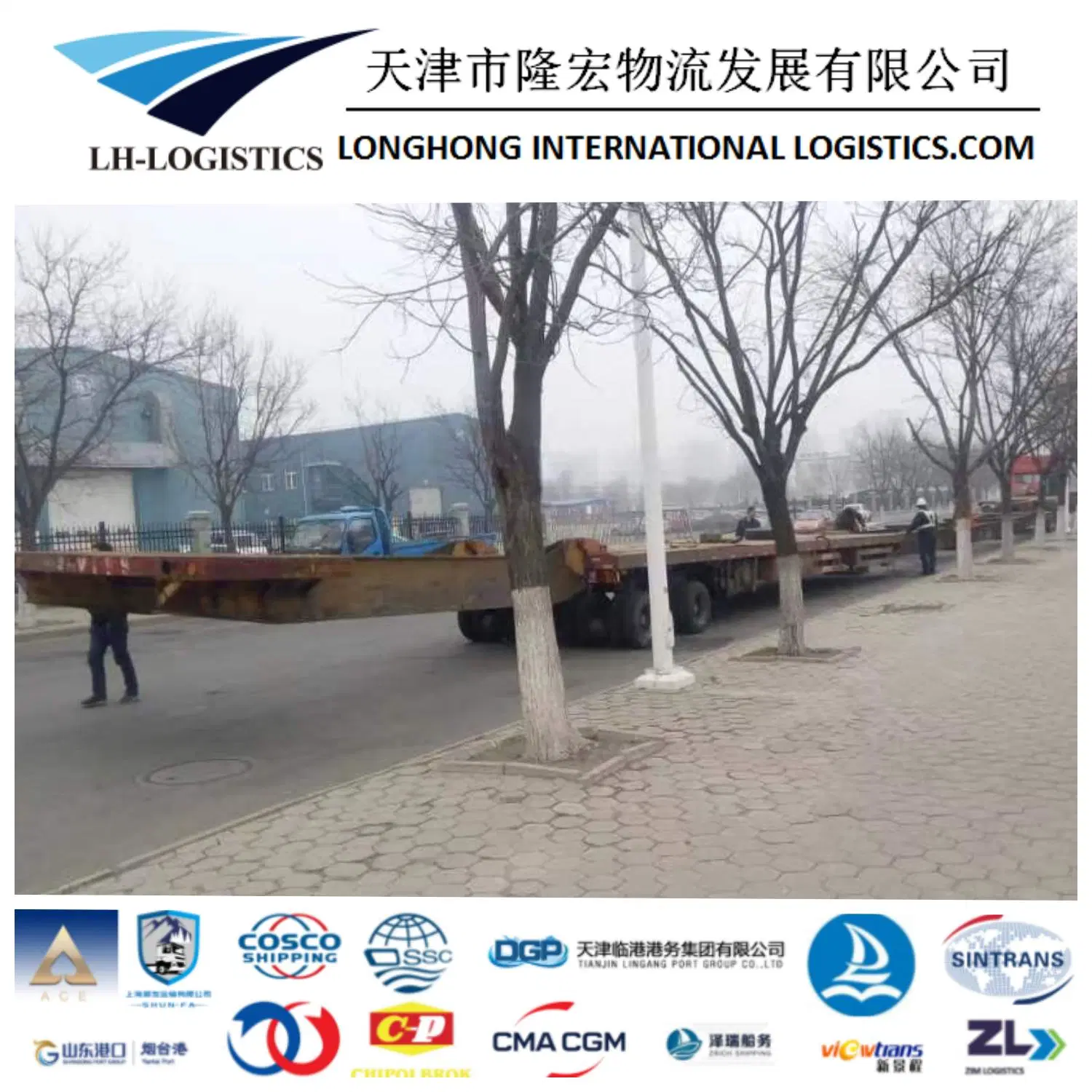 20"/40" Fr/Ot/Container Bbk/Breakbulk Vessel Chartering/Roro Vessel Chartering/Bulk Shipping Service/China Railway Shipping 1688