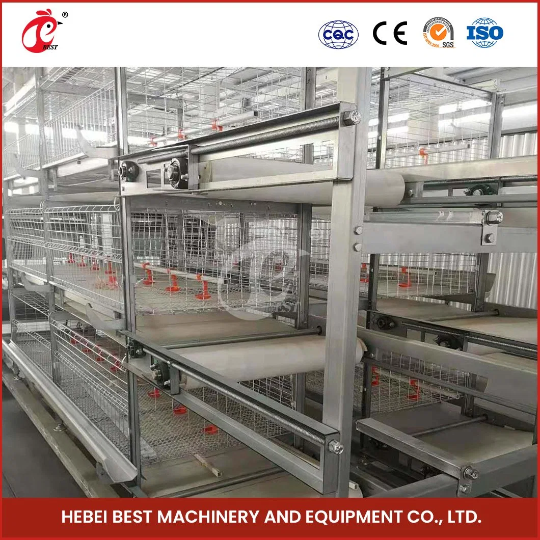 Bestchickencage H Type Pullet Hen Cage Breeder Cage China Gamefowl Pullet Cages for Sale Factory Sample Available Steel Wire Material Pullet Cage