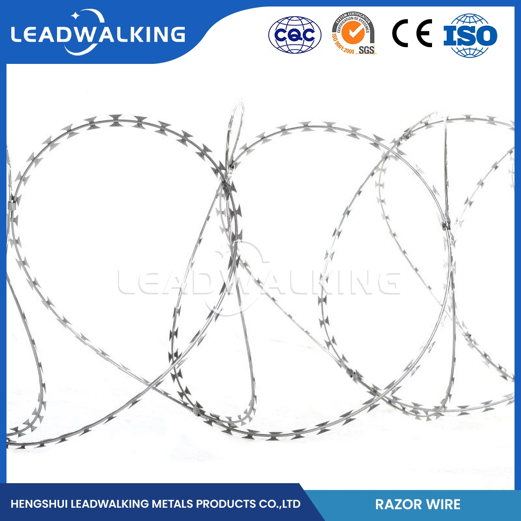 Leadwalking Tiger Tape Razor Wire Fabricators 60mm Needle Spacing Cross Navaja alambre de barbed China 6mm diámetro mejor alambre de la navaja