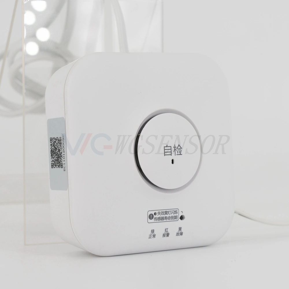 Airradio R2 Wired Smart SMS Natural Gas Alarm for Home Security