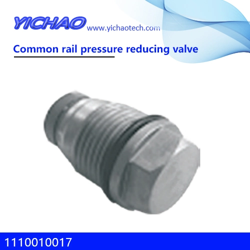 1110010017 Diesel Engine Pressure Relief Valve Common Rail Pressure Reducing Valve for Peugeot Citroen
