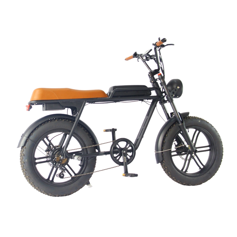 Electric Scooters 2 Wheel Bike Bicycle Freight Electric Ebike Bracket to Pick up Children Electric Cargo Energy-Saving Bicycle