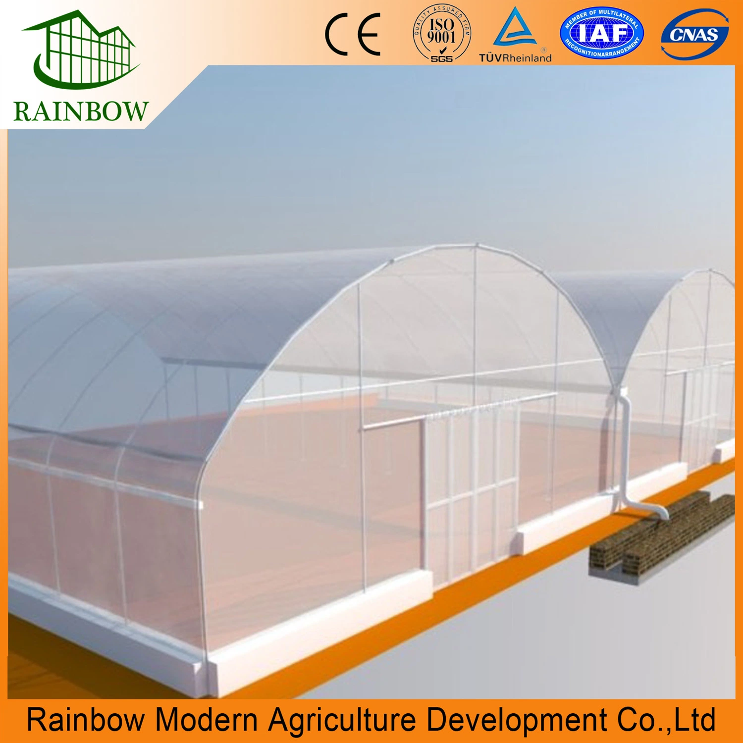 Modern Design PE Film Multi-Span Greenhouse