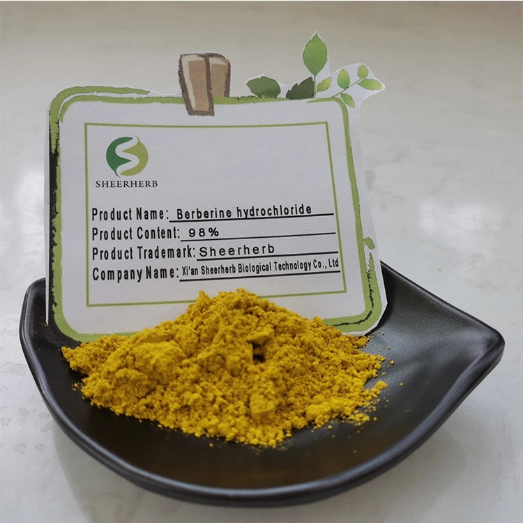 El mejor precio Beberine cápsulas berberina HCl 500 mg/cápsula berberina tabletas de clorhidrato de berberina