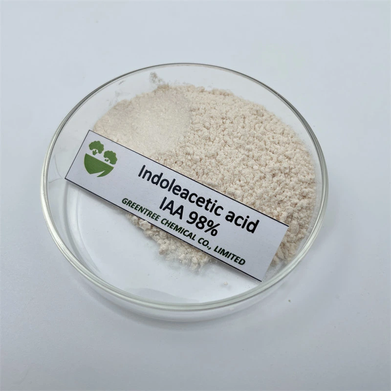 Polvo de ácido Indoleacético Premium 98% TC IAA Regulador de planta CAS87-51-4