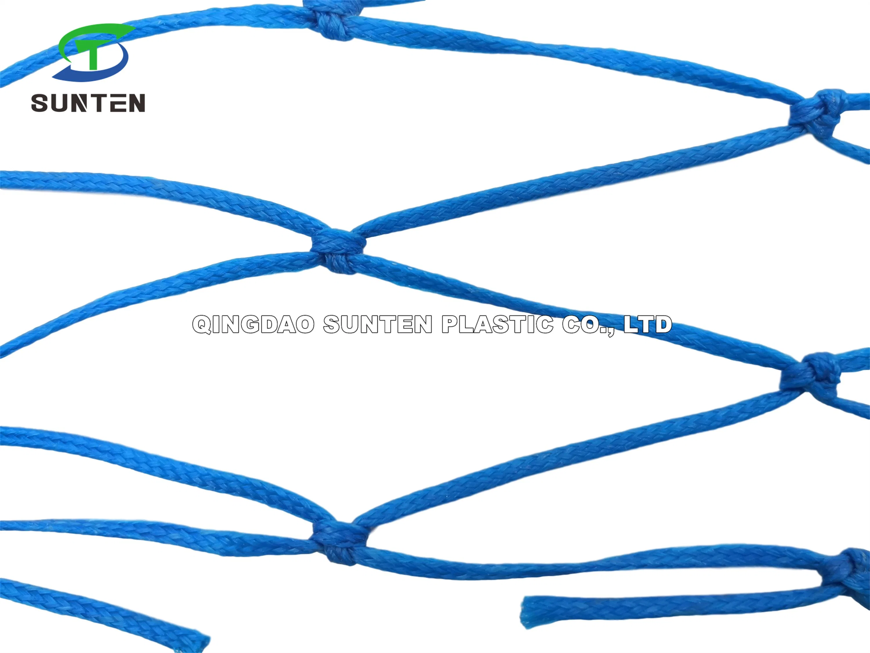 High quality/High cost performance Blue PE Cargo/Fall Arrest/Safety Catch/Cargo Climbing/Plant Plastic Mesh Net in Playground, Ski Resort, Agriculture, Garden.