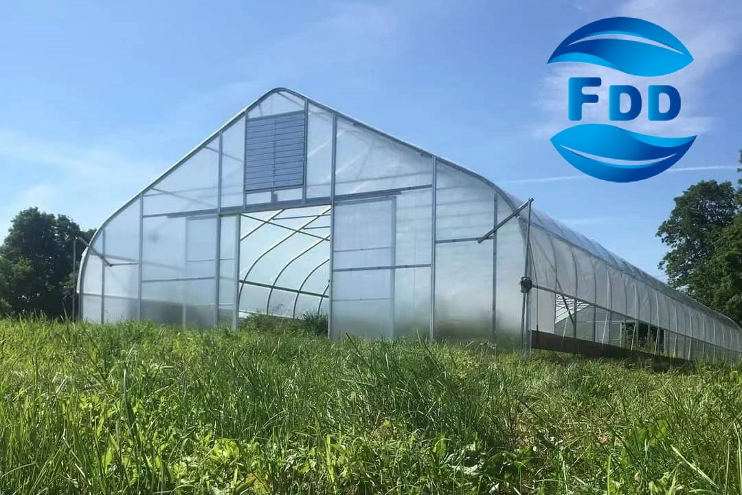 FDD High Strength Commercial Agricultural Single/Muti-Soan Greenhouse Tomato Plastic Film for Sale