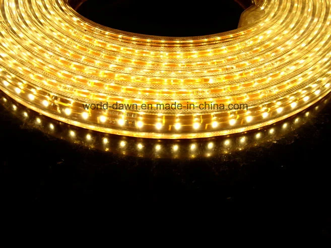 Super Bright 220V 127V SMD3014 Flexible Strip Light IP65 LED Rope Light