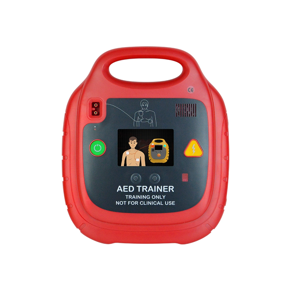 Fabrik Großhandel HLW-Schulung Defibrillator Maschine AED-Trainer-Gerät