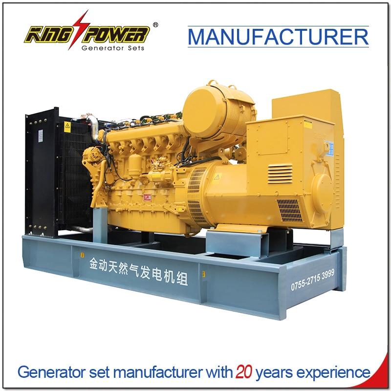 Professional Supplier of 80kw Factory Use Silent Natural Gas Biogas CNG LNG LPG Generator