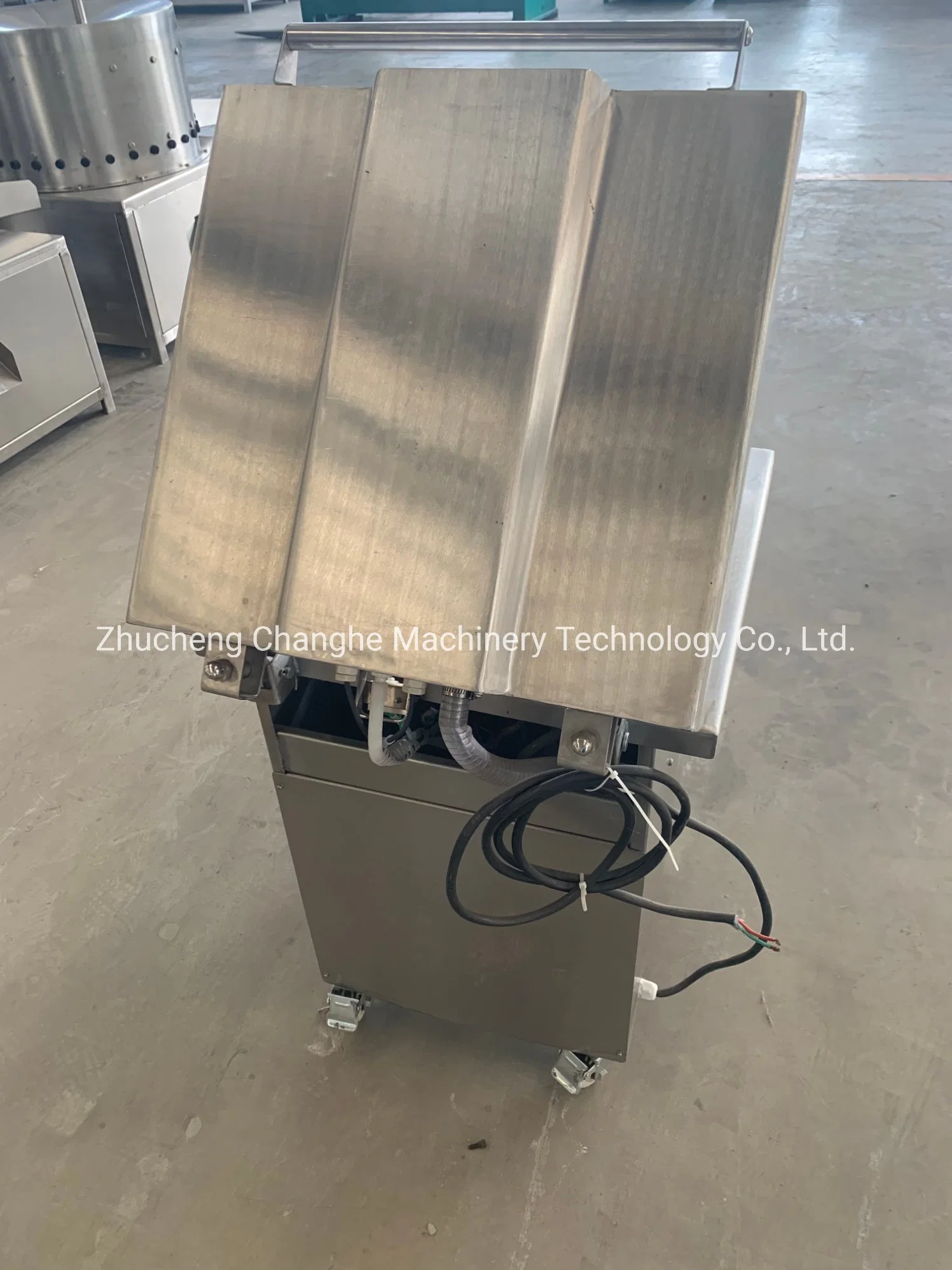 Dumpling Vacuum Packaging Machine Dzr420 Dumpling Thermoforming Vacuum Map Packaging Machine