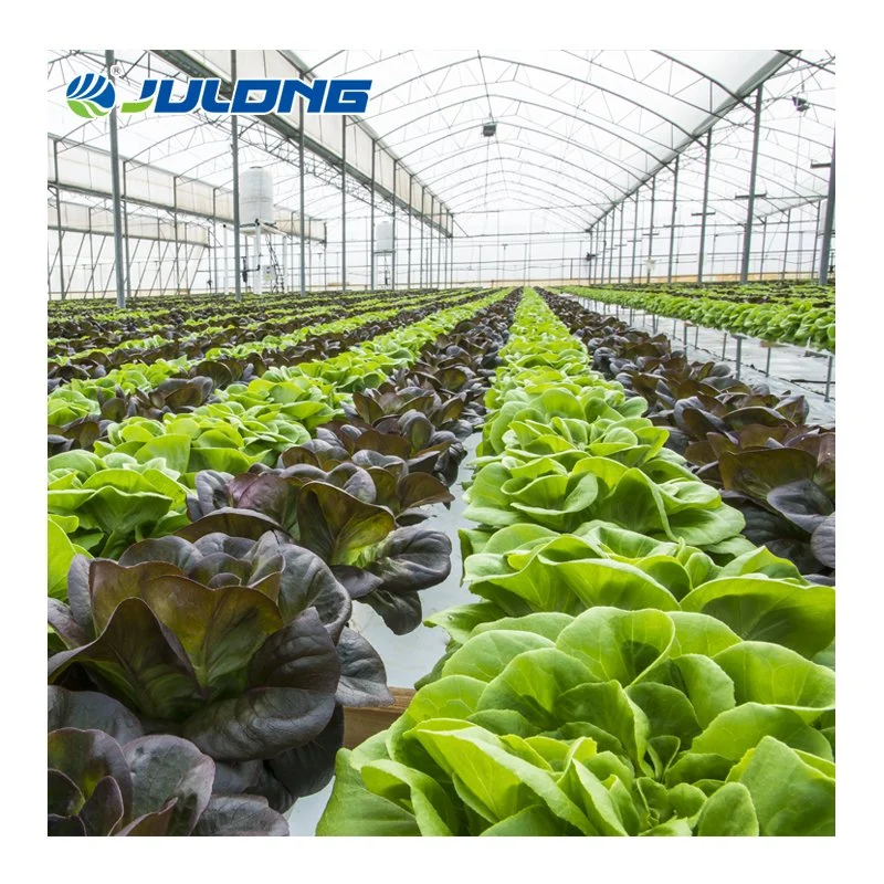 Hydroponic Pipe Greenhouse Equipment Aquaponics Grow Nft Tube Gutter Channel PVC Hydroponic System