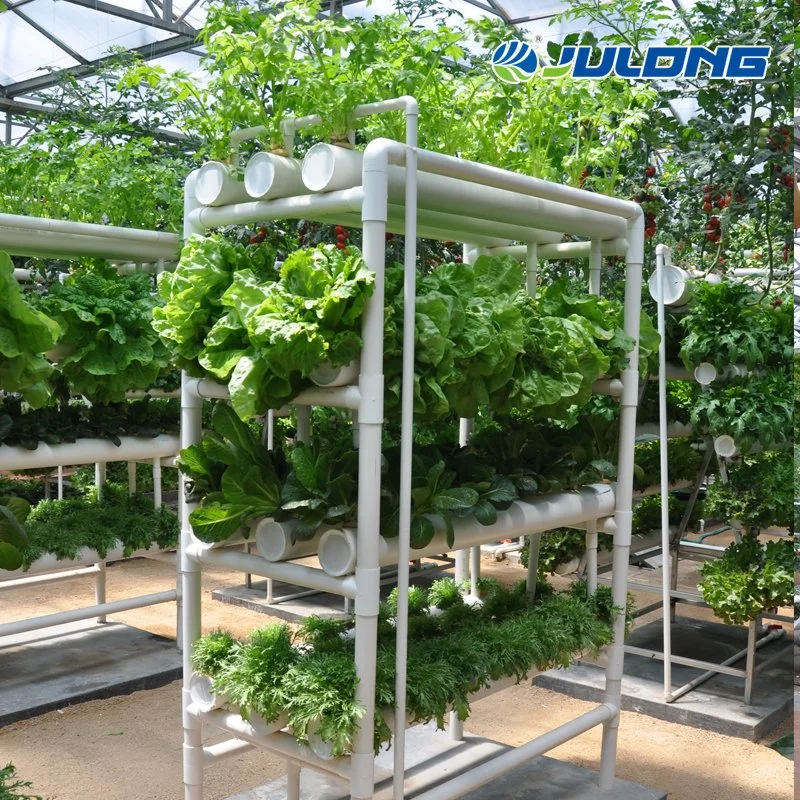 Hydroponics System Greenhouse Grow System with Automatic Control