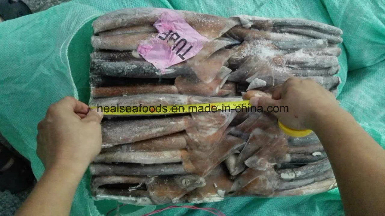 Seefrozen Illex Squid Tube