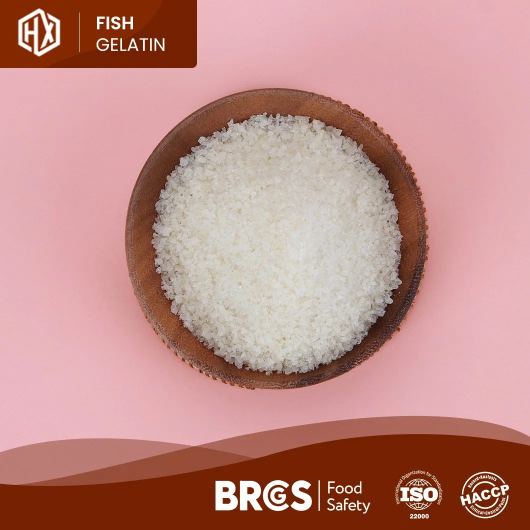 Haoxiang Unflavored Food Grade Cod Fish Skin Gelatin China Pharmaceutical Cod Fish Skin Gelatin Manufacturers High-Purity Edible Cod Fish Skin Gelatin