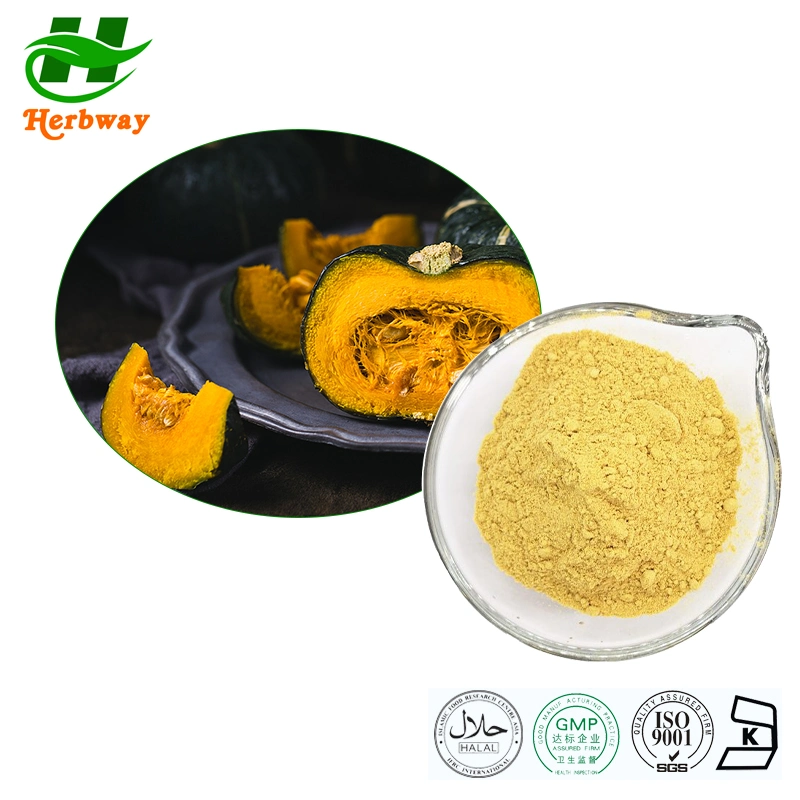 Green Pigment Pumpkin Extract/ Cucurbita Powder/ Pumpkin Powder Extract