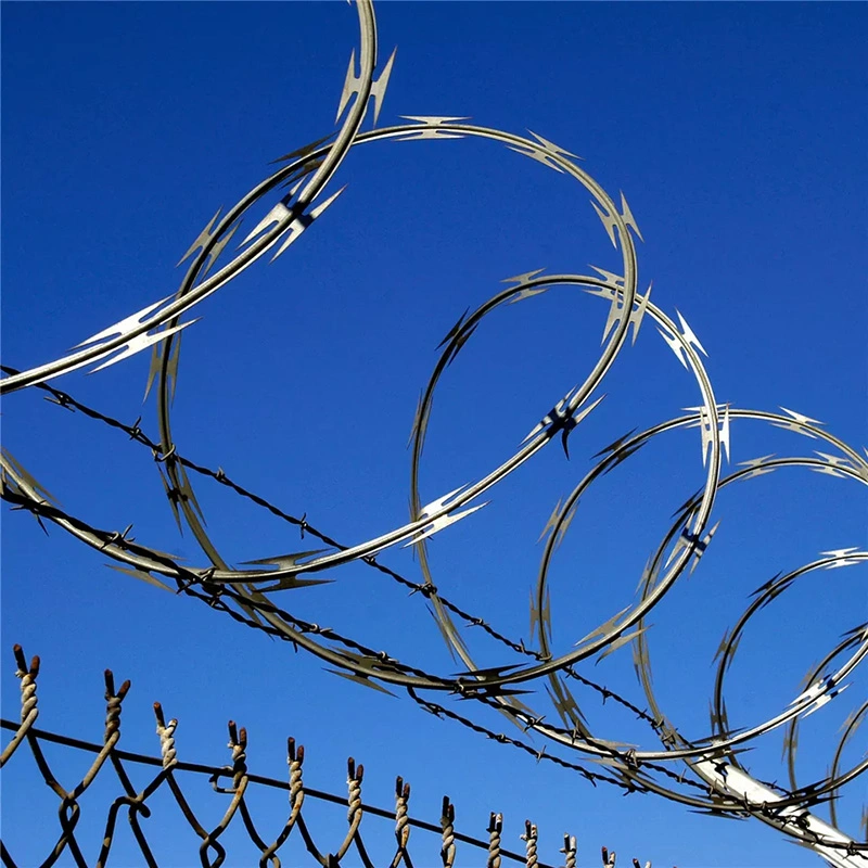 Hot-Dipped Razor Barbed Wire Protective Wire Mesh