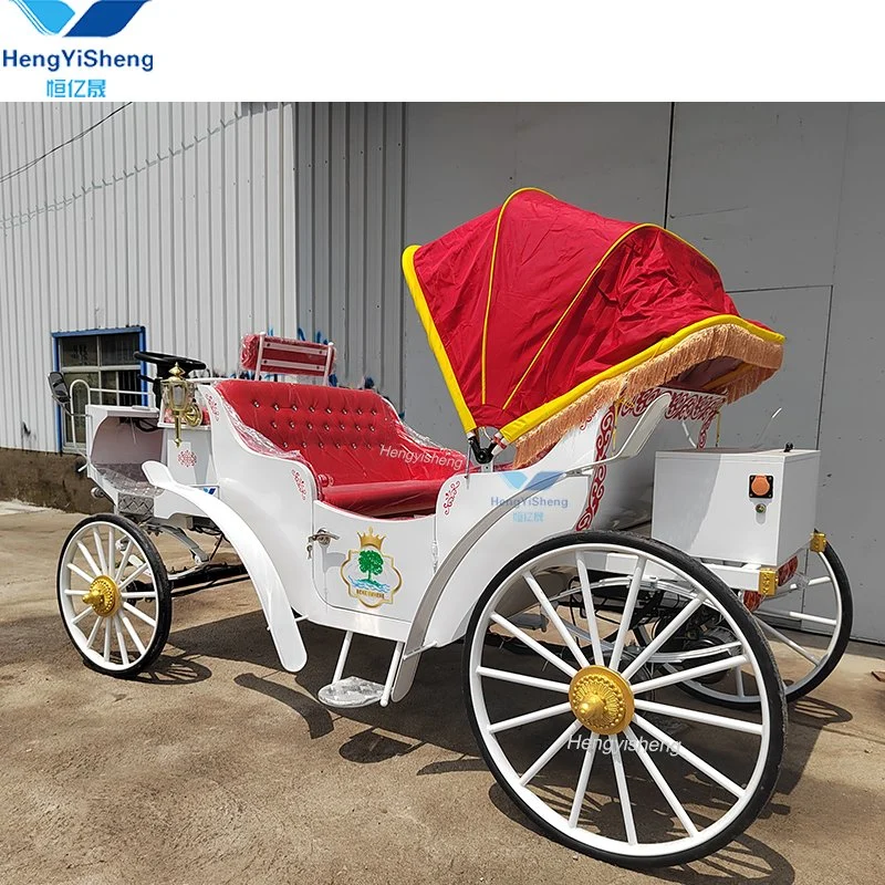 Chinese Special Transportation Customized Sightseeing Horse Carriage