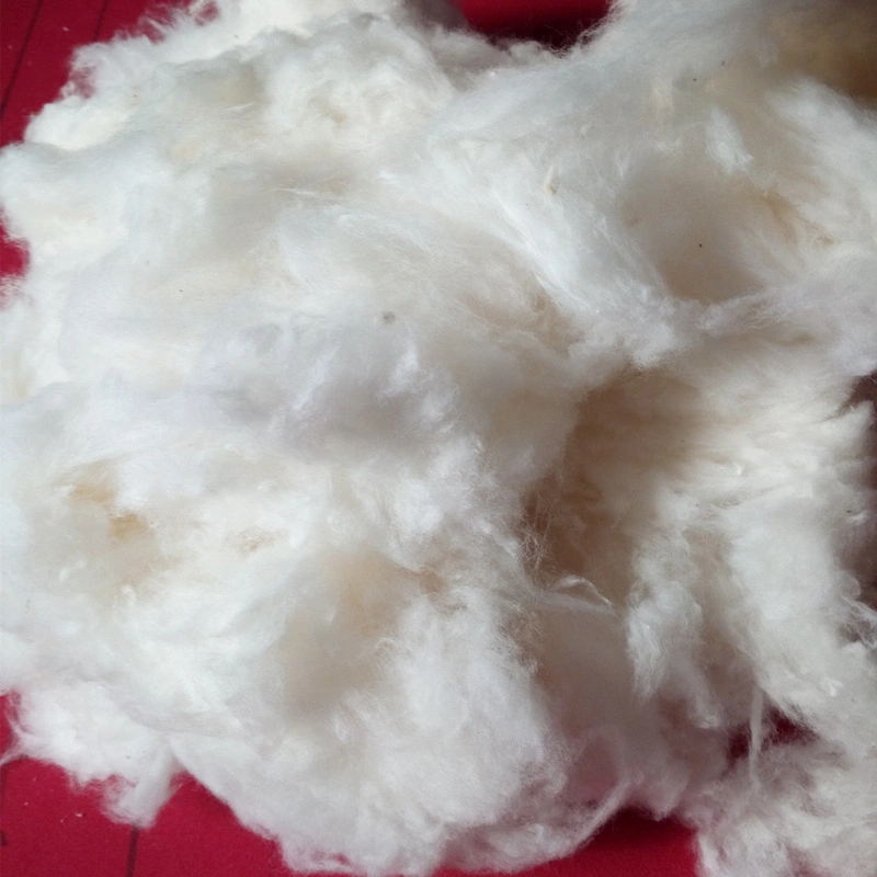 Raw Cotton Fiber/Cotton/Cotton Fiber