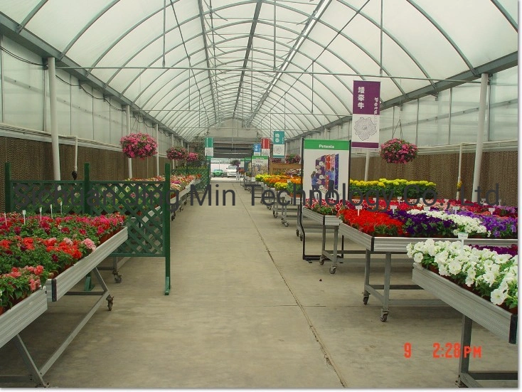 The Tunnel PE Film Green House with Factory Price