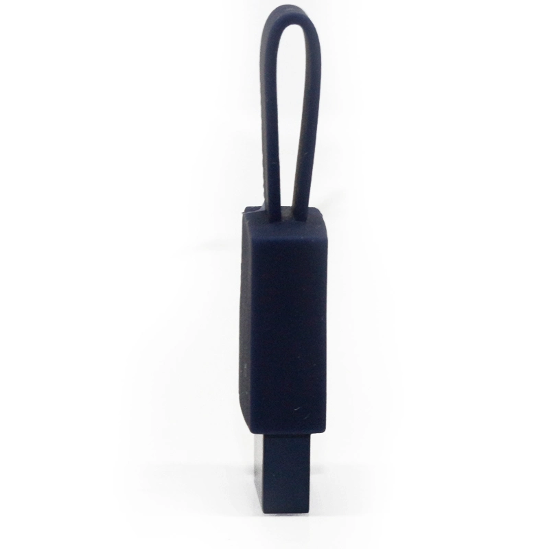 PVC Clé USB Lanière Clé USB Portable 2.0 Clé USB Type-C Mini Clé USB Thumb