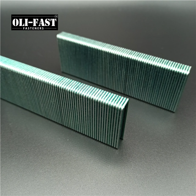 16ga N50 Galvanized Staples with High quality/High cost performance 