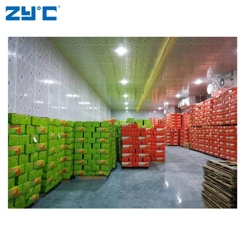 Sala de almacenamiento de frío Zyc con unidad de refrigeración para frutas/verduras/huevo/fábrica/supermercado/Granja/almacén/Taller/Centro de distribución