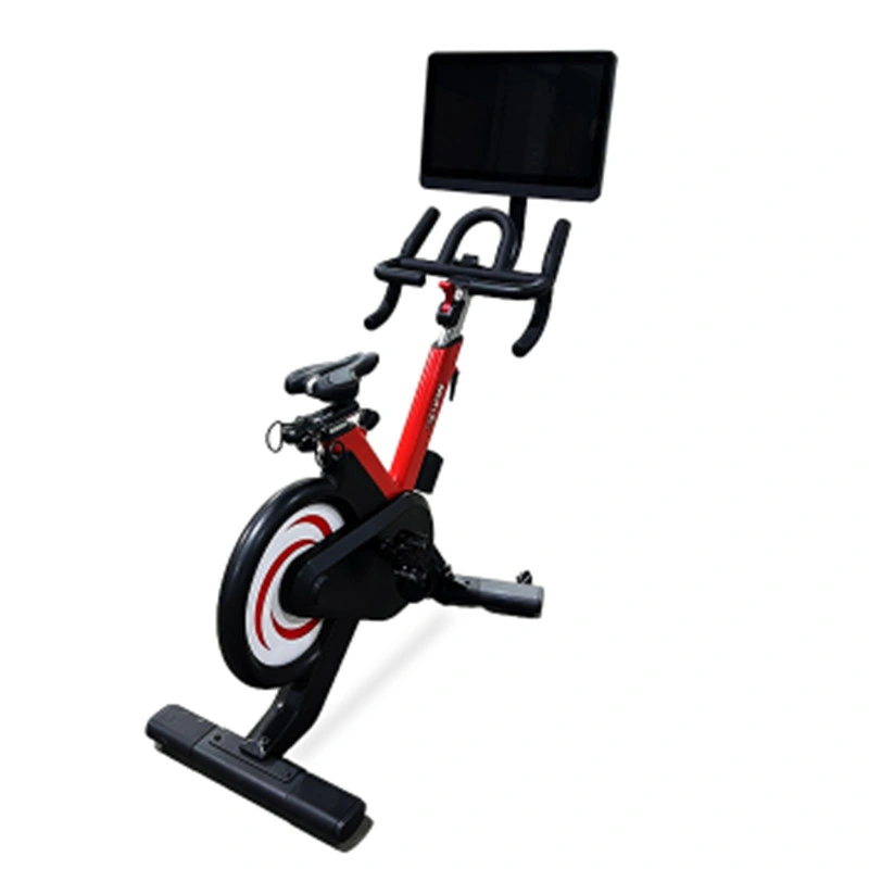 Wnq Hot Sale Venus-B3 Commercial 10.5kg Flywheel Exercise Bike