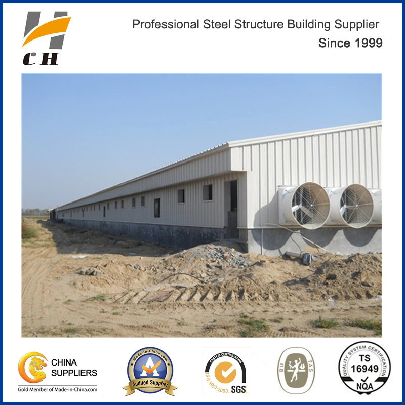 Steel Structure Prefab Pig House and Equipment System