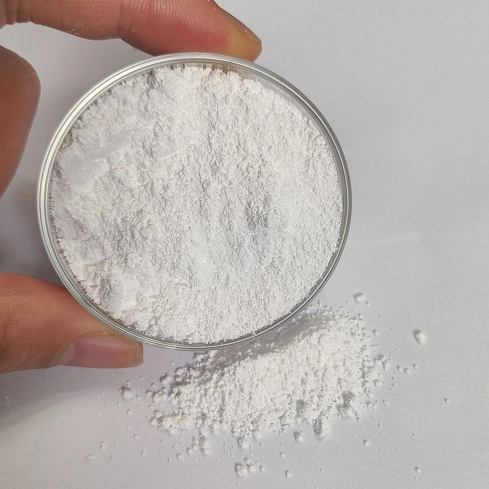 Nano Al2O3 alumínio branco óxido pó Nanopowders Alpha alumina Catalisador Produtos químicos inorgânicos pó de óxido de alumínio