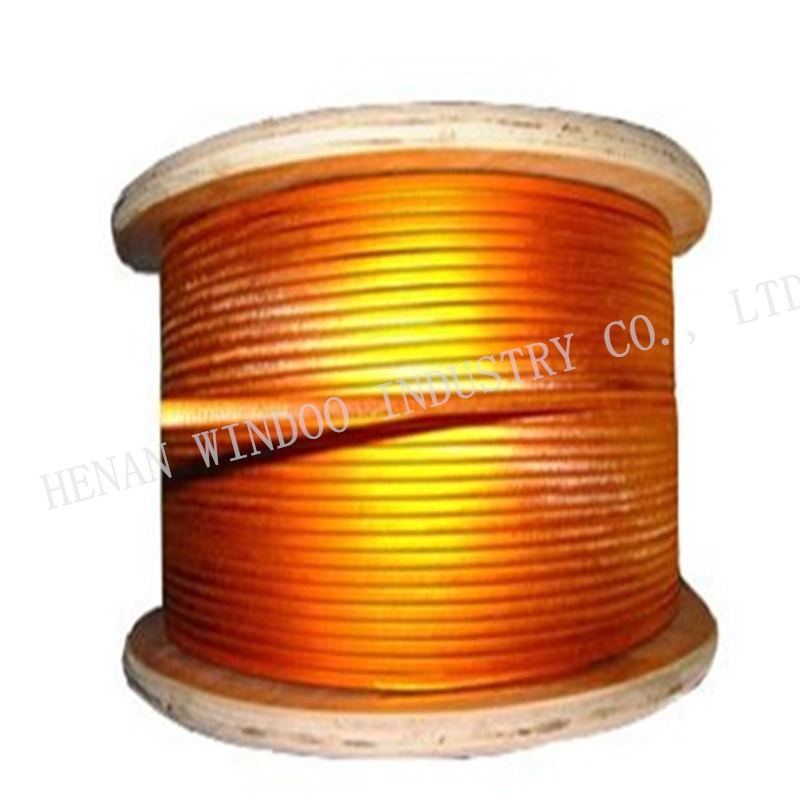 Double Layer Polyesterimide Yarnm High Temperature Kapton Wrapped Copper Flat Wire for Coil