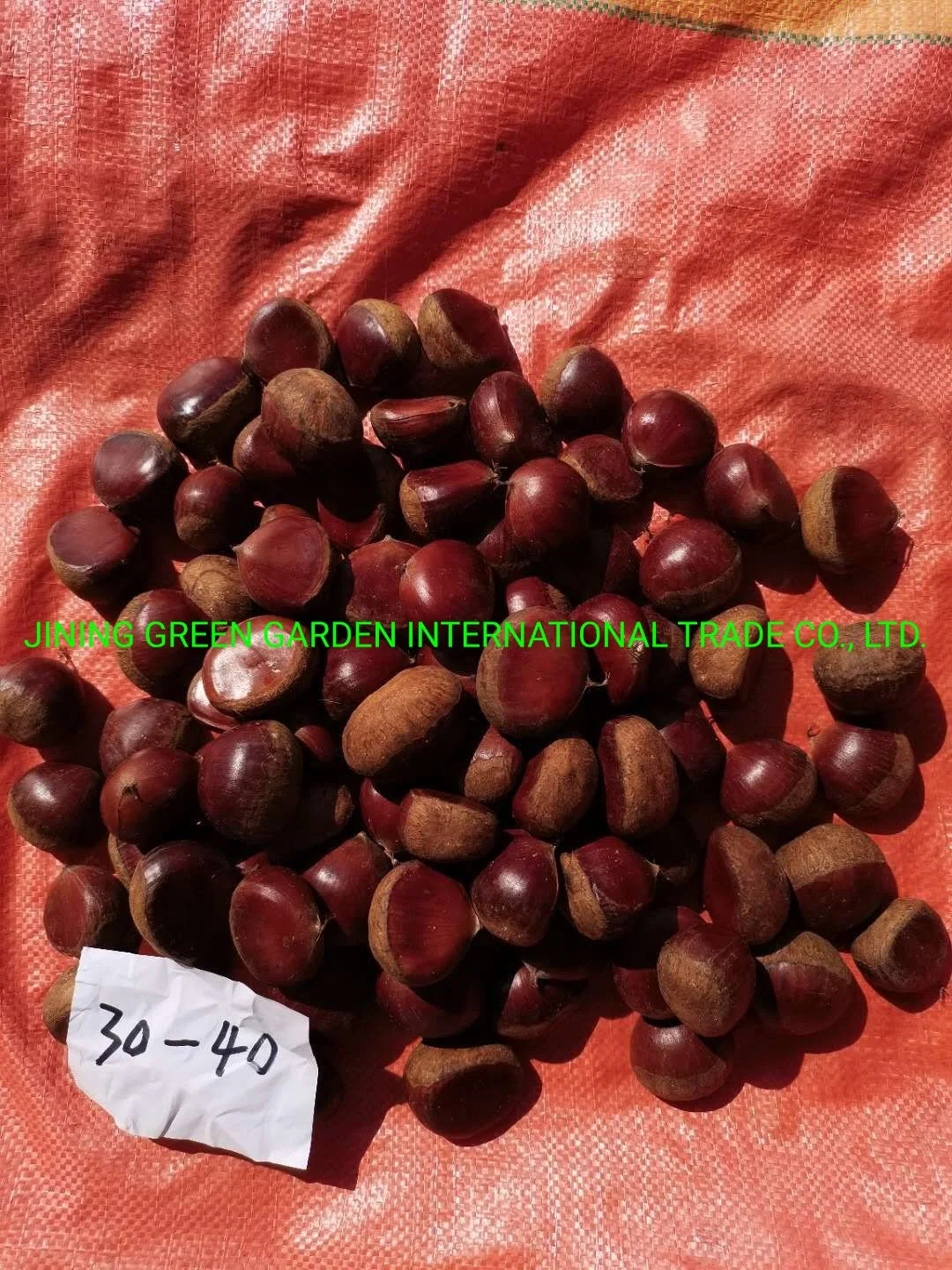 الصينية New Crop Fresh Taian أو Dandong Chestnut Factory Best جودة عالية