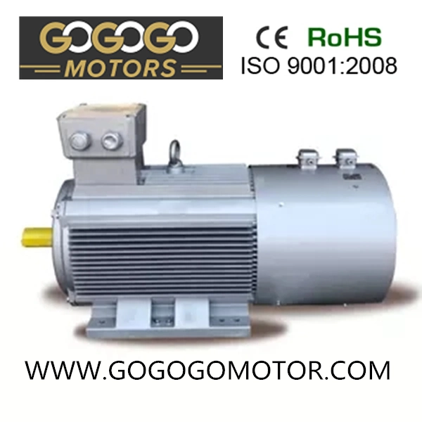 Y2 Low Voltage High Output Three Phases Electric Motor