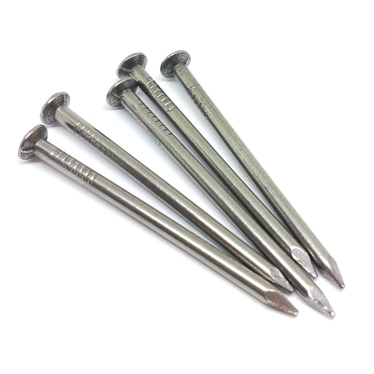 Best Quality High Hardness Steel Common Nails Concrete Nails From China Factory