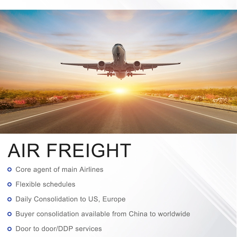 Servicio de logística de envío aéreo o promotor de carga aérea de Shenzhen Guangzhou Shanghai Ningbo