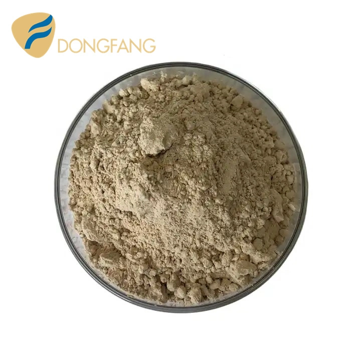 Best Price of Dried Sea Cucumber Protein Powder/ Sea Cucumber Peptide