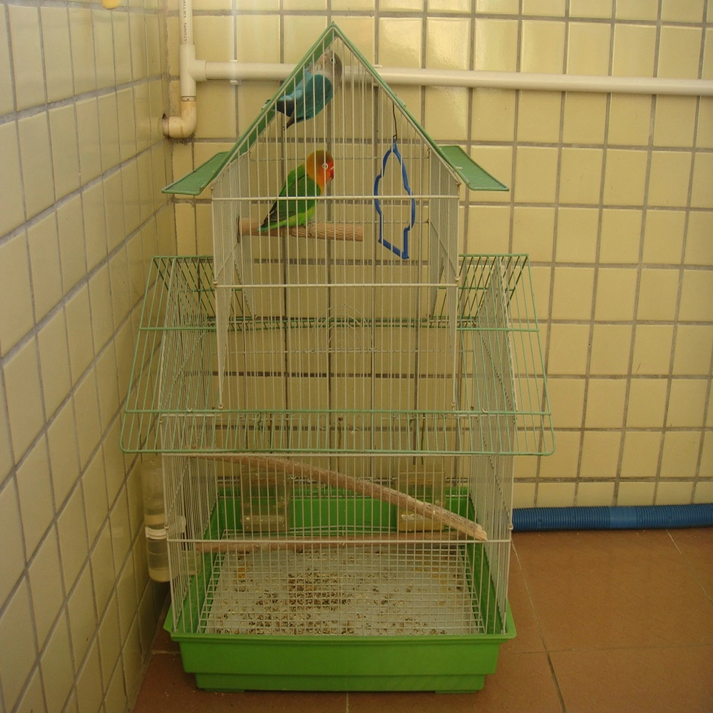 Factory Supply Large Metal Bird Cage with Plastic Trays