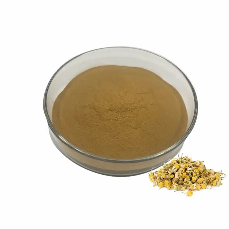 Wholesale/Supplier Chrysanthemum Powder Dry Flower Tea Water Soluble 100% Natural Plant Extraction