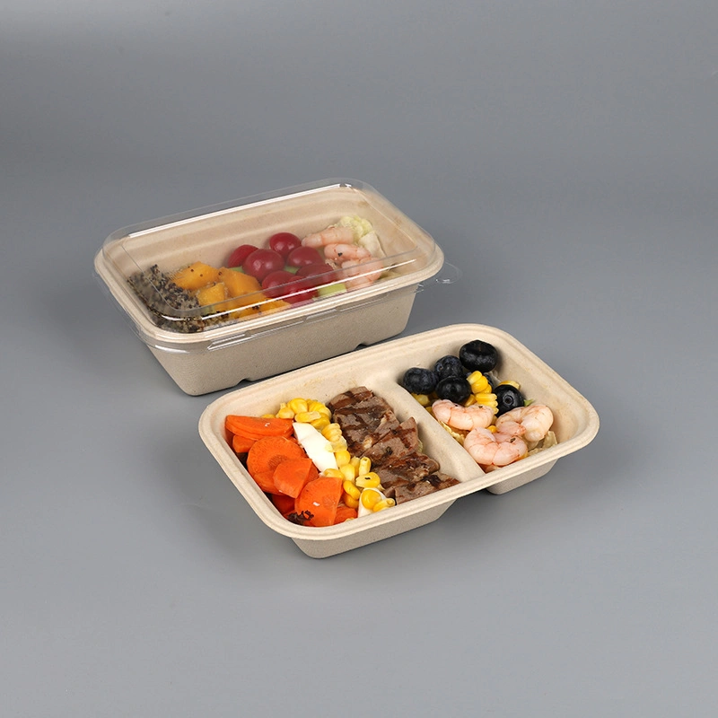 Takeaway Box Disposable Takeaway Food Packaging Lunch Box Plant Fiber Sugar Cane Production