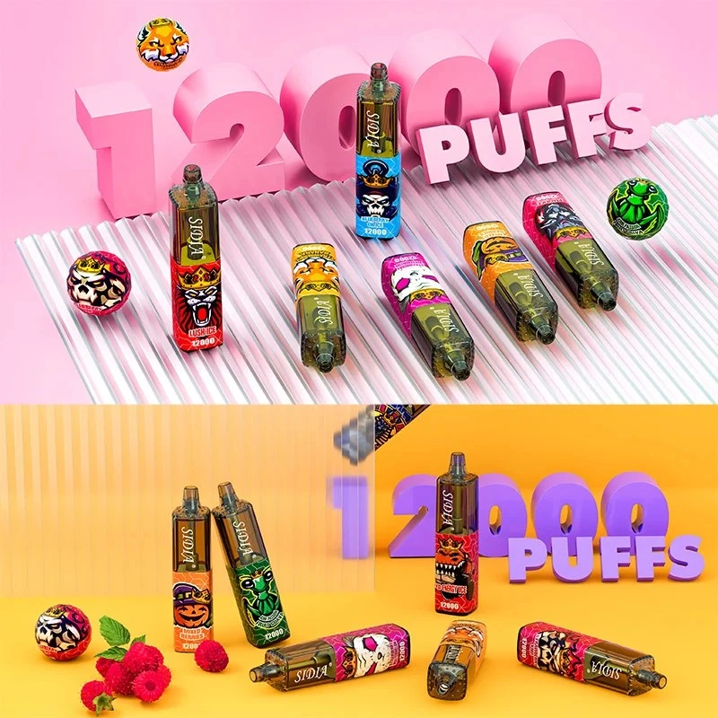 2023 L'Europe Vente chaude Sidia 12000bouffées Pod 20ml Vape jetables de gros