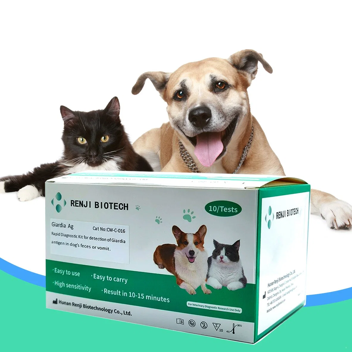 Tierärztliche Diagnostik Rapid Antigen Test für Haustier Tier