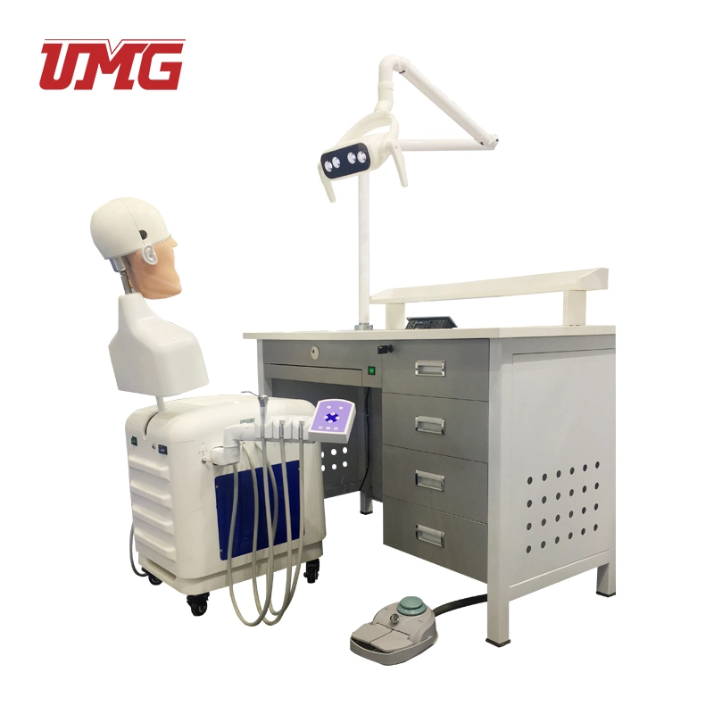 Economic Trachea Intubation Model Adult Intubation Training Simulator