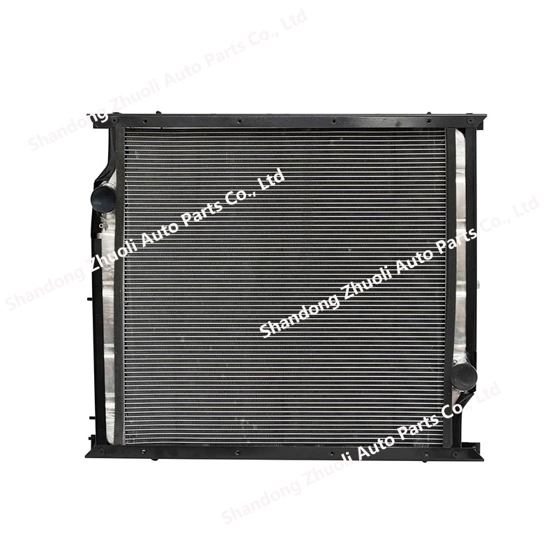 Radiateur d'eau pour système de chauffage dans le ventilateur laser Wg9725530011 Wg9725530120 Radiateur d'ordinateur Beauté machine médicale