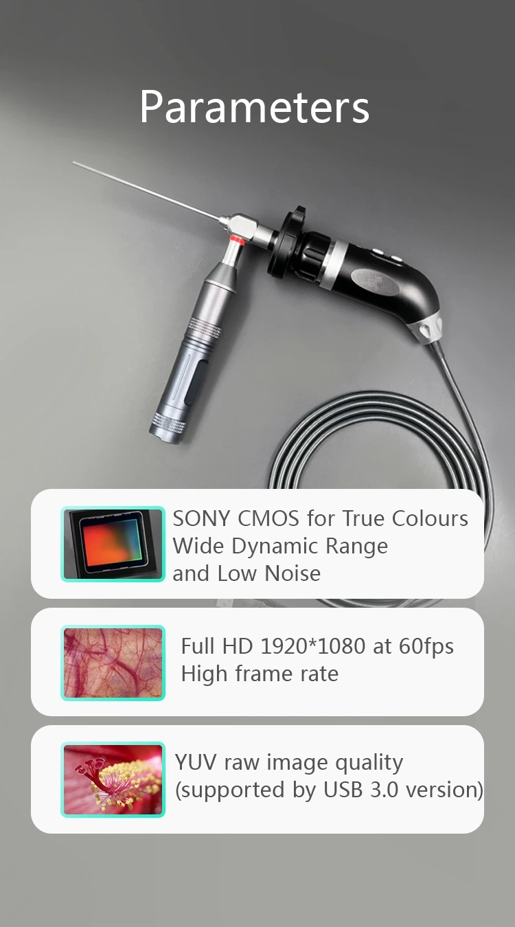 Nueva cámara endoscópica USB Ent portátil HD para Mac/Windows/Android
