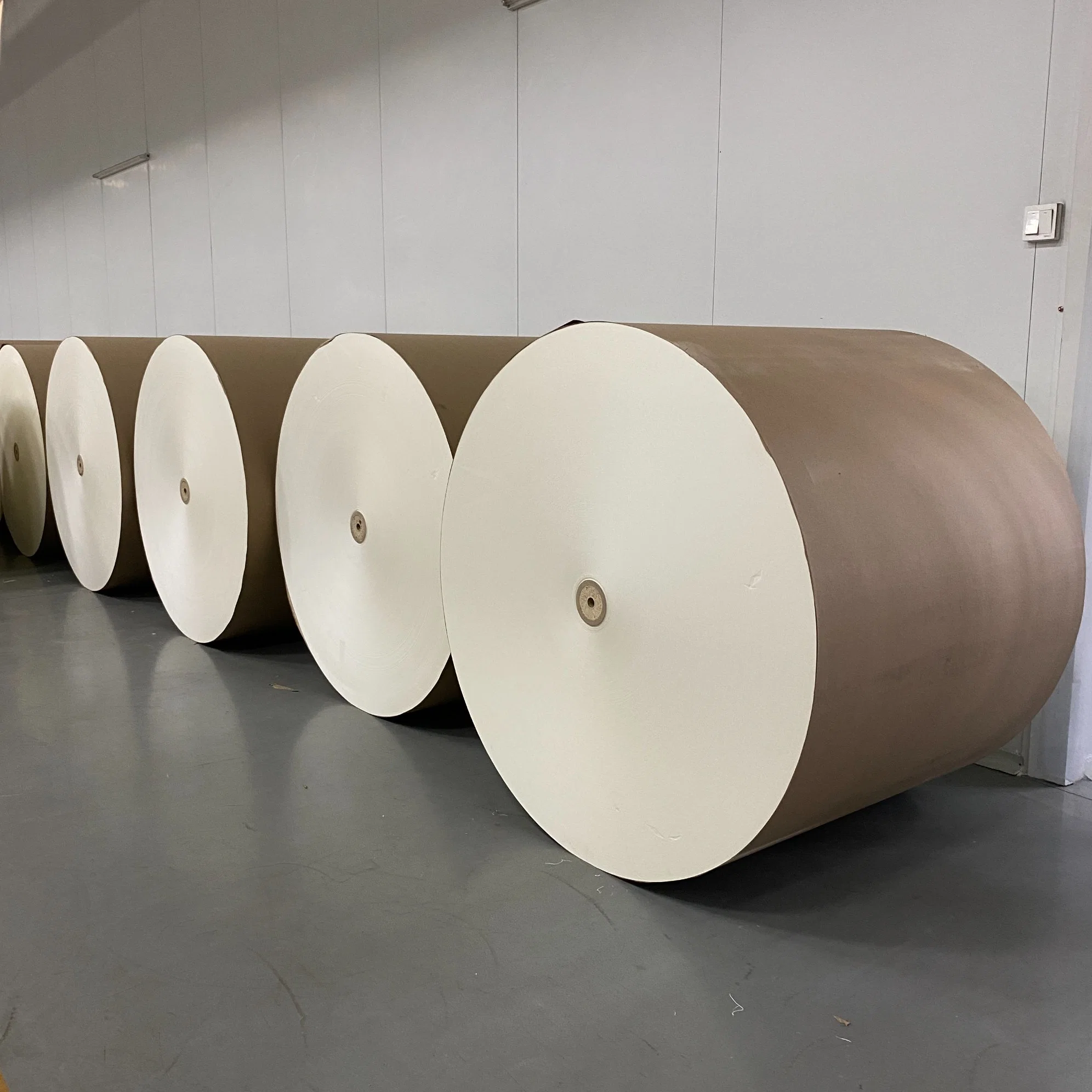 Food Grade PE Coated Paper for Make Paper Cup and Bowl