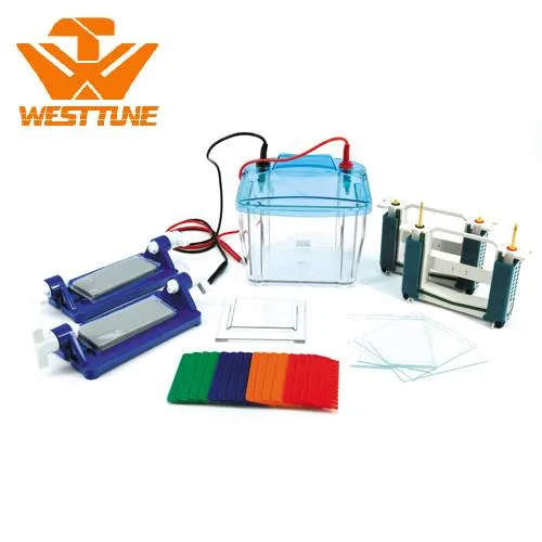 Dycz-25e High-End P4 Vertical Protein Electrophoresis Tank