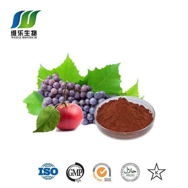 100% Natural Grape Seed Extract Cheap Price High Quality