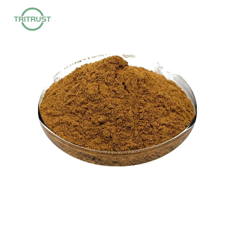 Factory Supply Eyebright Extract Capsule CAS No: 525-82-6 Herb Extract Powder Eyebright Extract